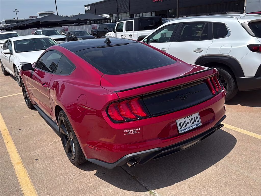 2022 Rapid Red Metallic Tinted Clearcoat Ford Mustang EcoBoost RWD Fastback