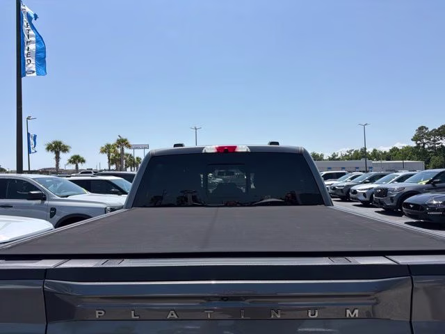 2025 Gray Metallic Ford F-150 Platinum 4X4 Truck