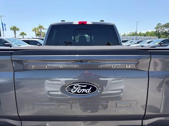 2025 Gray Metallic Ford F-150 Platinum 4X4 Truck