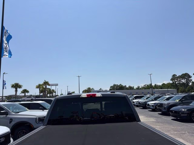 2025 Gray Metallic Ford F-150 Platinum 4X4 Truck