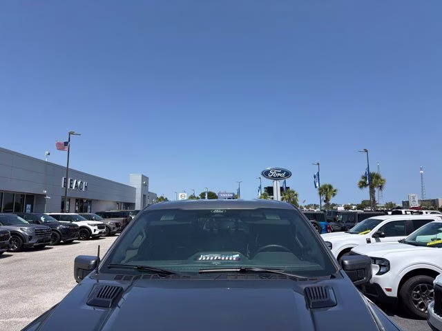 2025 Gray Metallic Ford F-150 Platinum 4X4 Truck