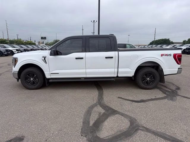 2023 White Ford F-150 XLT 4X4 Truck