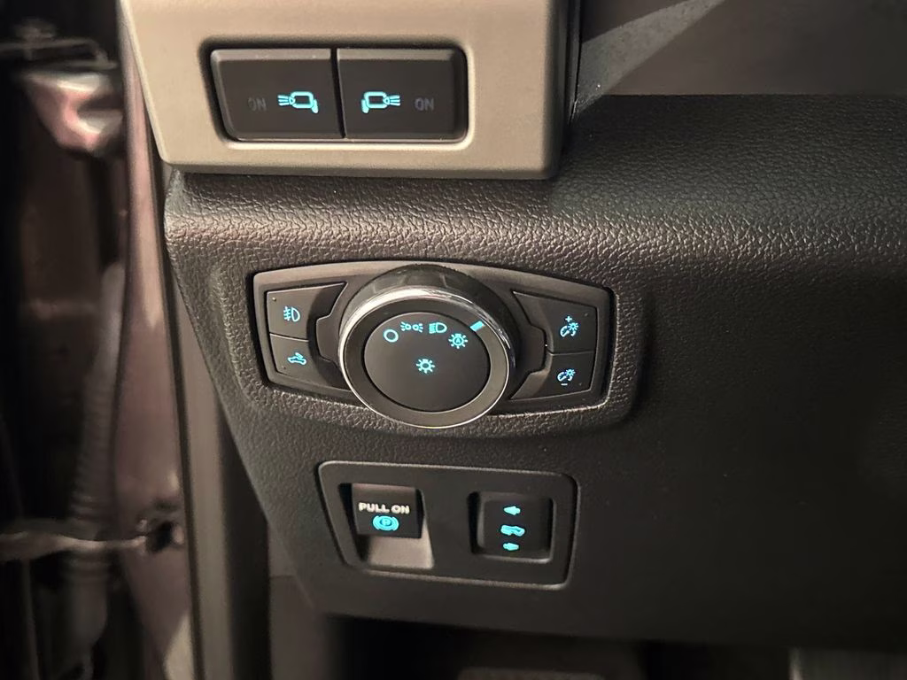 2020 Magnetic Ford F-150 Lariat 4X4 Truck