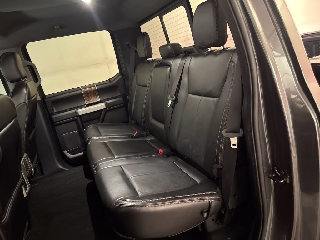 2020 Magnetic Ford F-150 Lariat 4X4 Truck
