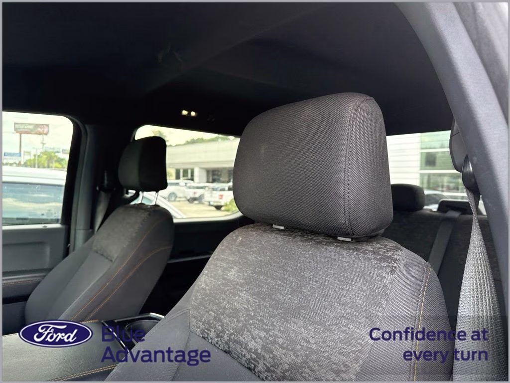 2022 Agate Black Metallic Ford F-150 Tremor 4X4 Truck