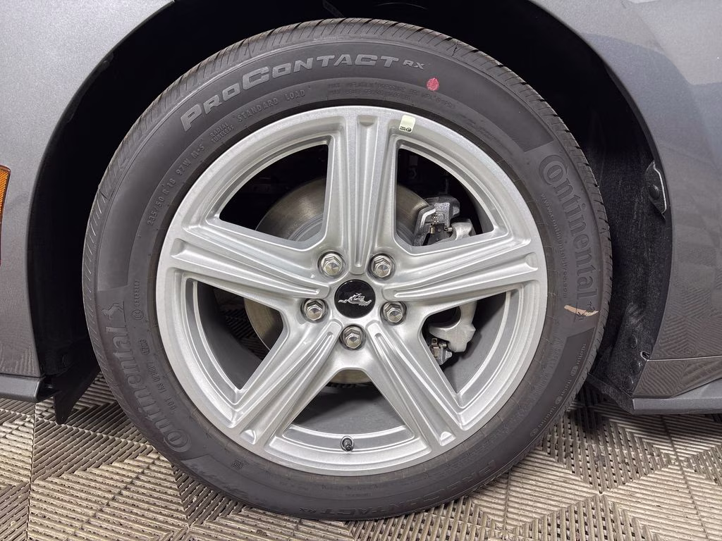 2026 Gray Ford Mustang EcoBoost RWD Coupe