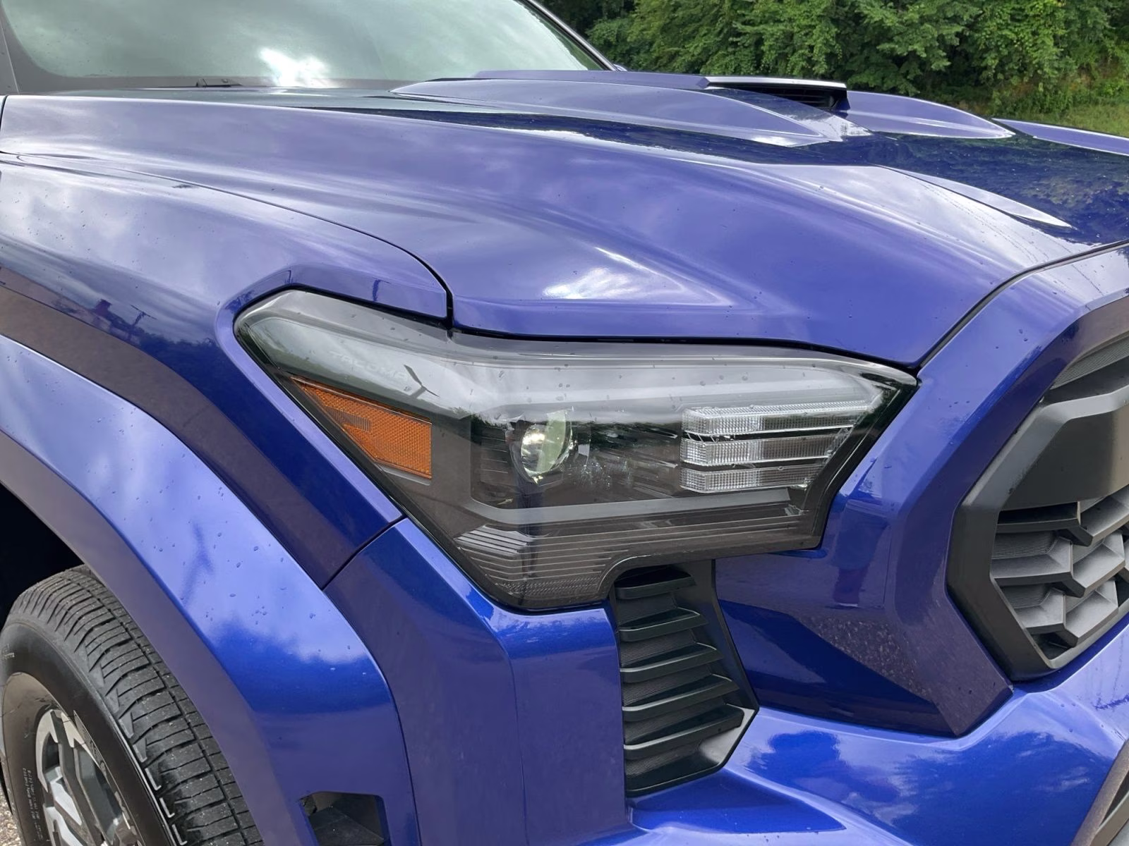 2025 Blue Toyota Tacoma TRD Sport 4X4 Truck