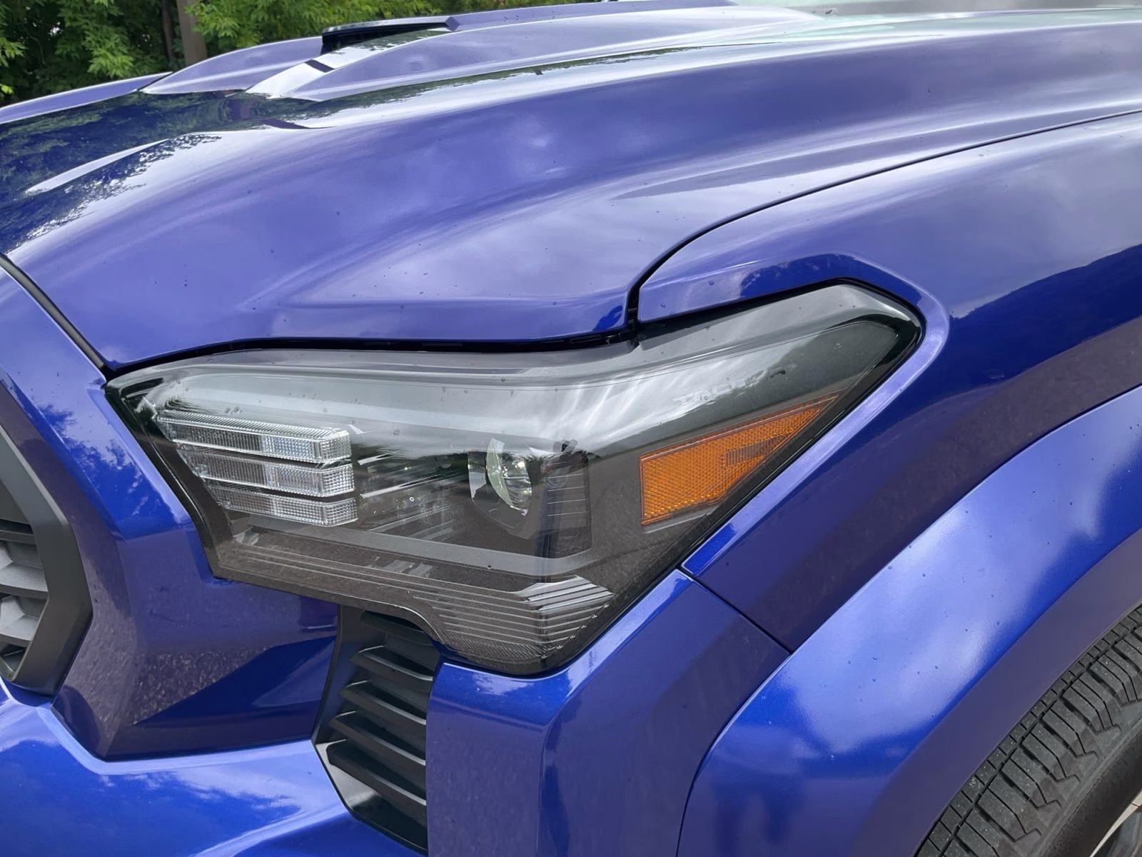 2025 Blue Toyota Tacoma TRD Sport 4X4 Truck
