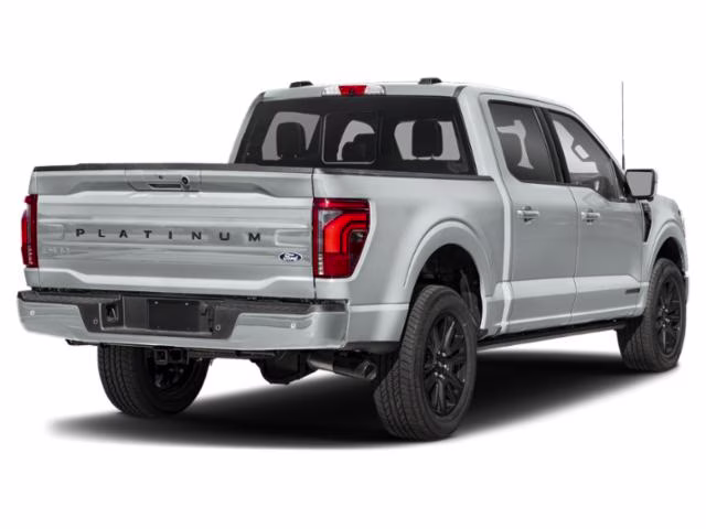 2026 Avalanche Gray Ford F150 PLATINUM 4X4 Truck