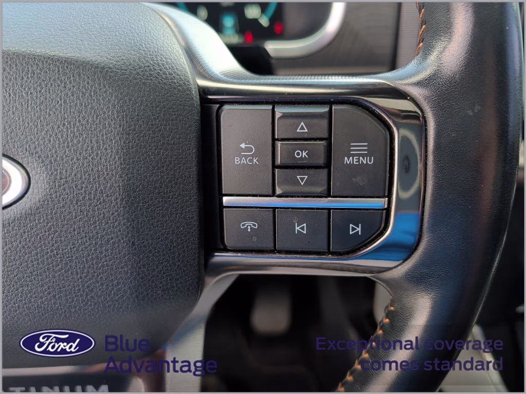 2022 Agate Black Metallic Ford F-150 Platinum 4X4 Truck
