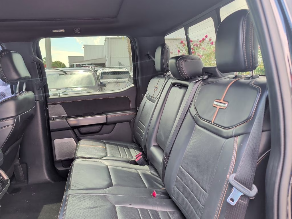 2022 Agate Black Metallic Ford F-150 Platinum 4X4 Truck