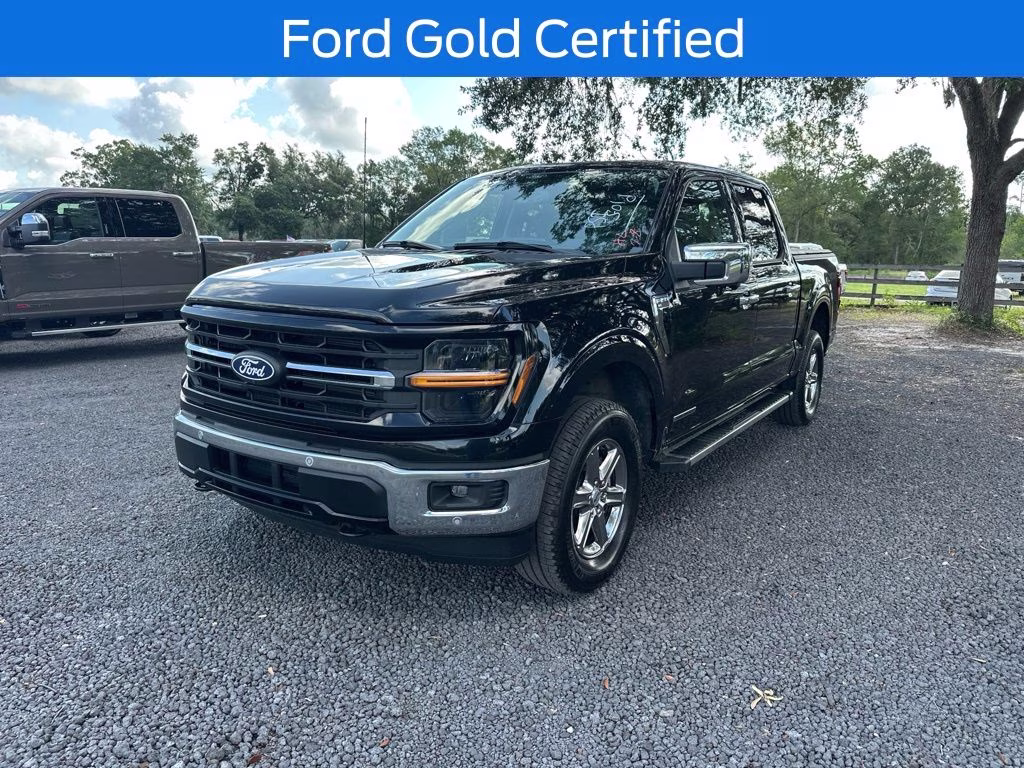 2025 Black Metallic Ford F-150 XLT 4X4 Truck