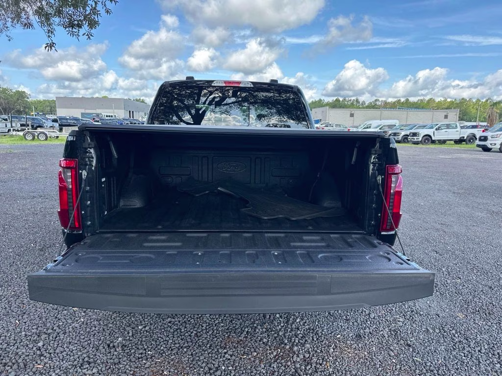 2025 Black Metallic Ford F-150 XLT 4X4 Truck