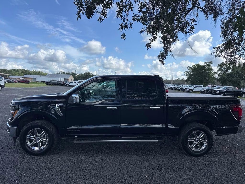 2025 Black Metallic Ford F-150 XLT 4X4 Truck