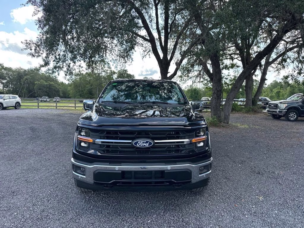 2025 Black Metallic Ford F-150 XLT 4X4 Truck