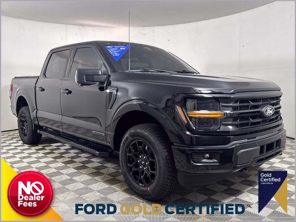 2024 Agate Black Metallic Ford F-150 XLT 4X4 Truck