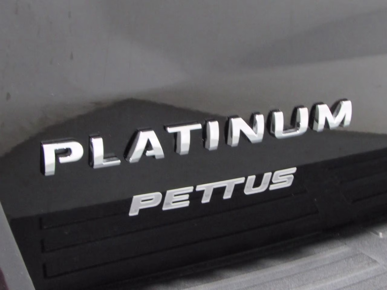 2024 Agate Black Metallic Ford Expedition Platinum 4X4 SUV