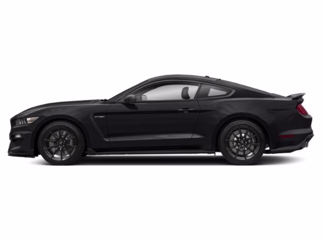 2019 Shadow Black Ford Mustang Shelby GT350 RWD Fastback
