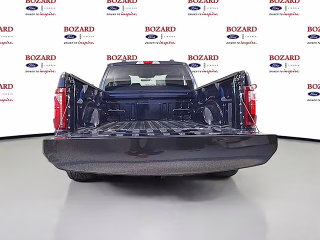 2025 Antimatter Blue Metallic Ford F-150 XL 4X4 Truck