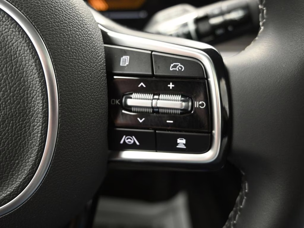 2025 Panthera Metal Kia Sorento X-Line EX AWD SUV