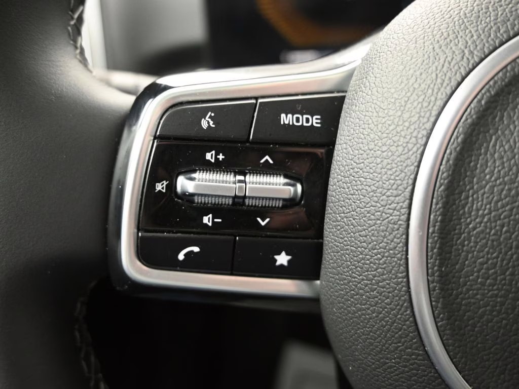 2025 Panthera Metal Kia Sorento X-Line EX AWD SUV