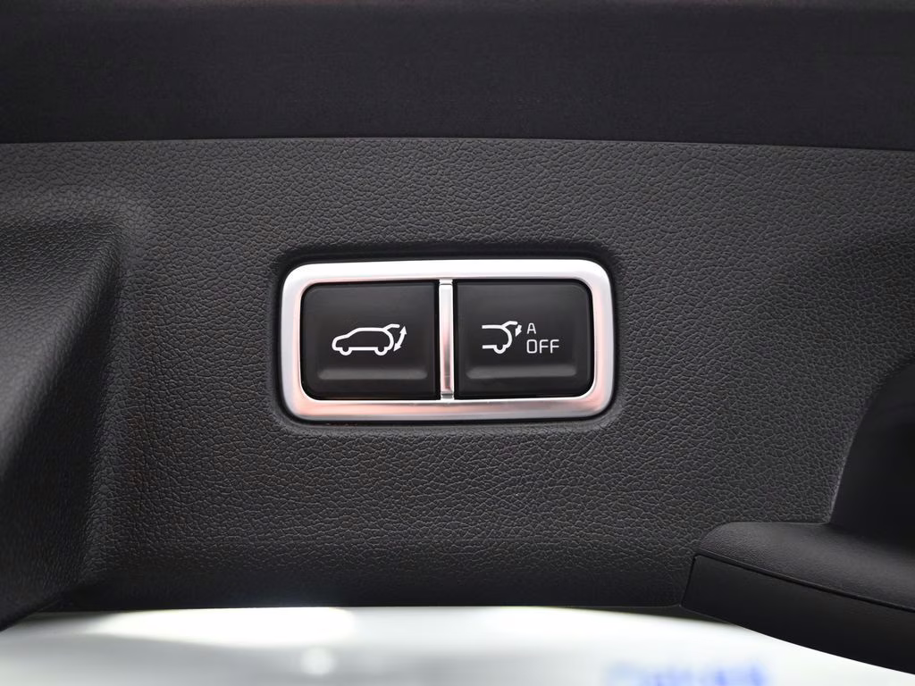 2025 Panthera Metal Kia Sorento X-Line EX AWD SUV