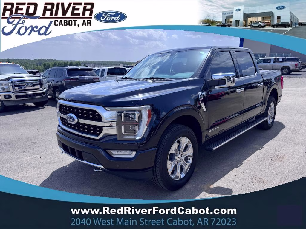 2022 Agate Black Metallic Ford F-150 Platinum 4X4 Truck