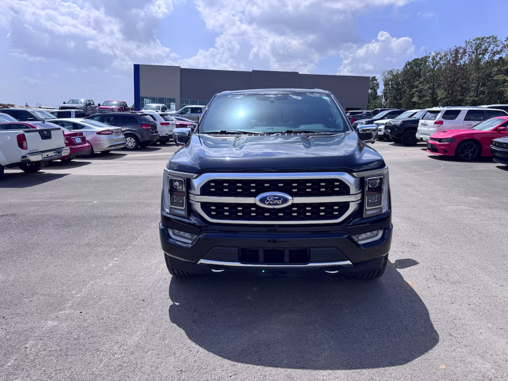 2022 Agate Black Metallic Ford F-150 Platinum 4X4 Truck