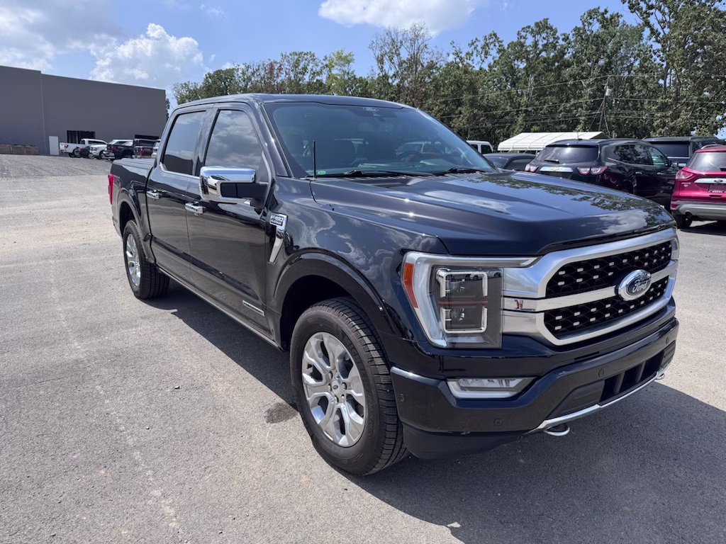 2022 Agate Black Metallic Ford F-150 Platinum 4X4 Truck