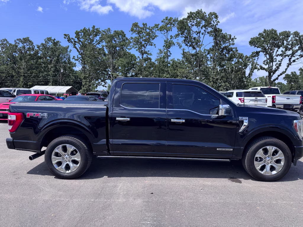 2022 Agate Black Metallic Ford F-150 Platinum 4X4 Truck