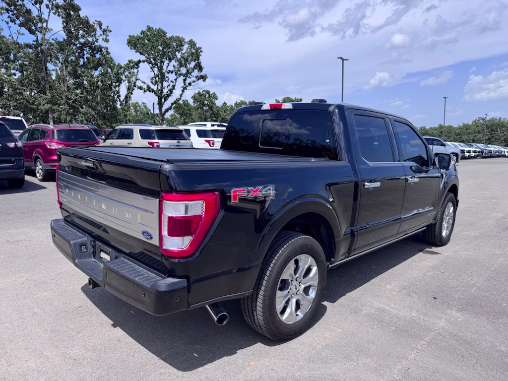 2022 Agate Black Metallic Ford F-150 Platinum 4X4 Truck