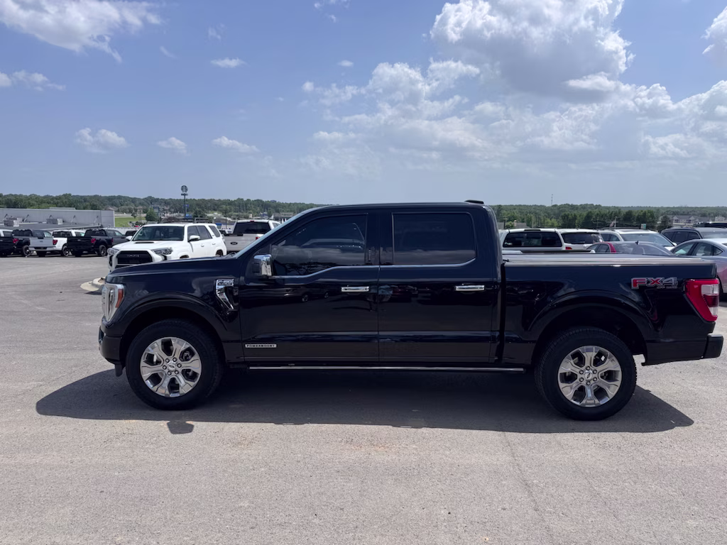 2022 Agate Black Metallic Ford F-150 Platinum 4X4 Truck