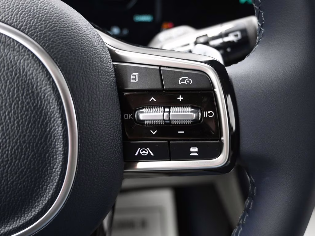 2026 Panthera Metal Kia Carnival Hybrid SX FWD Van