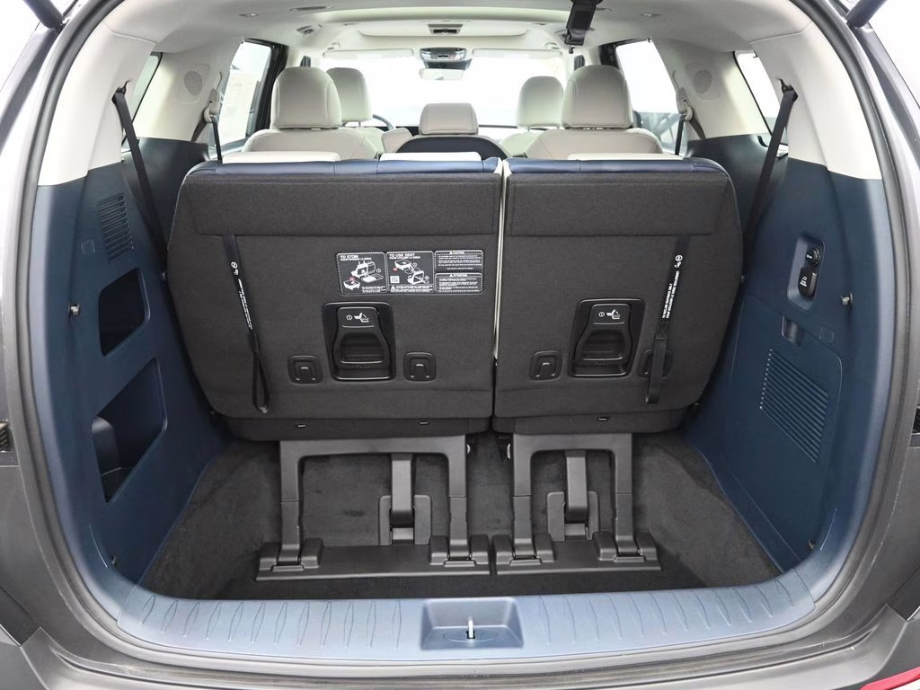 2026 Panthera Metal Kia Carnival Hybrid SX FWD Van