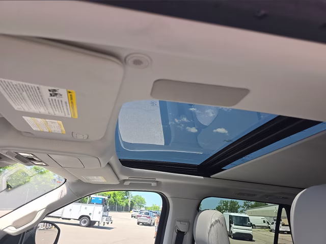 2025 Agate Black Metallic Ford Expedition Platinum 4X4 SUV