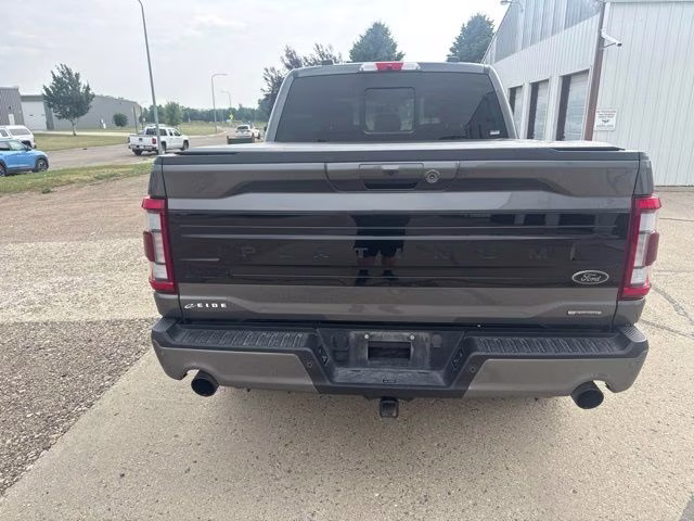 2023 Carbonized Gray Metallic Ford F-150 Platinum 4X4 Truck