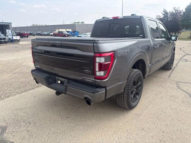 2023 Carbonized Gray Metallic Ford F-150 Platinum 4X4 Truck