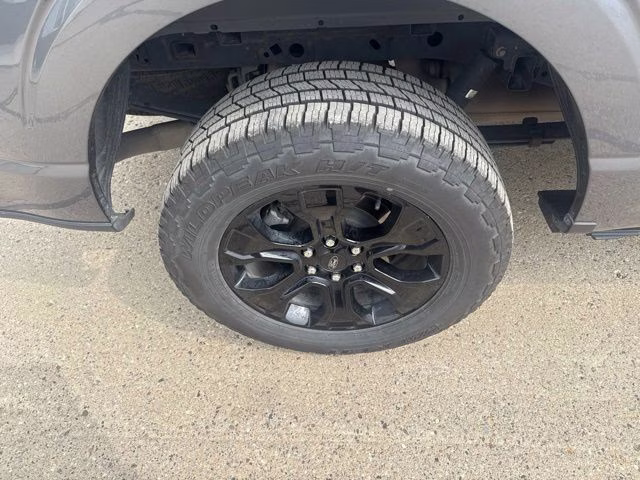 2023 Carbonized Gray Metallic Ford F-150 Platinum 4X4 Truck