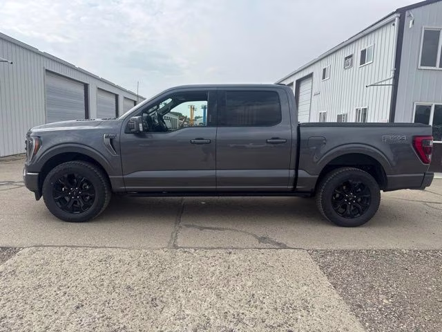 2023 Carbonized Gray Metallic Ford F-150 Platinum 4X4 Truck