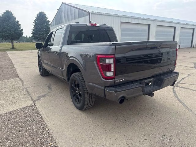 2023 Carbonized Gray Metallic Ford F-150 Platinum 4X4 Truck