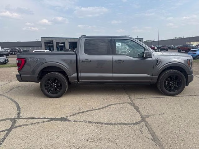 2023 Carbonized Gray Metallic Ford F-150 Platinum 4X4 Truck