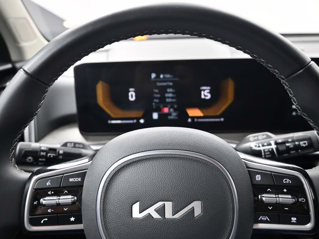 2025 Panthera Metal Kia Sorento X-Line EX AWD SUV