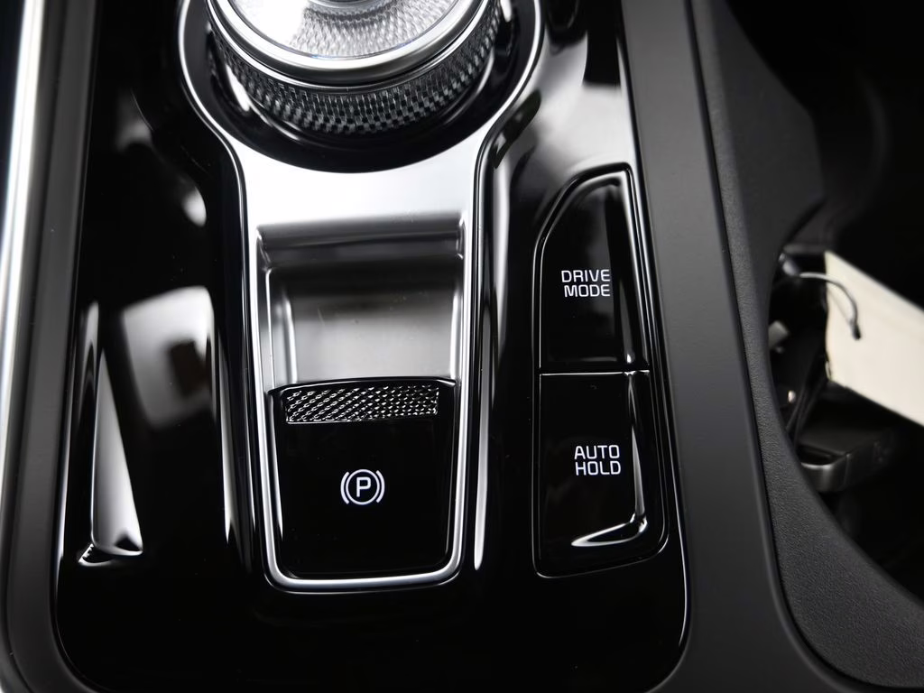 2026 Panthera Metal Kia Carnival Hybrid SX FWD Van