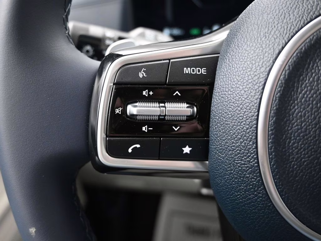 2026 Panthera Metal Kia Carnival Hybrid SX FWD Van