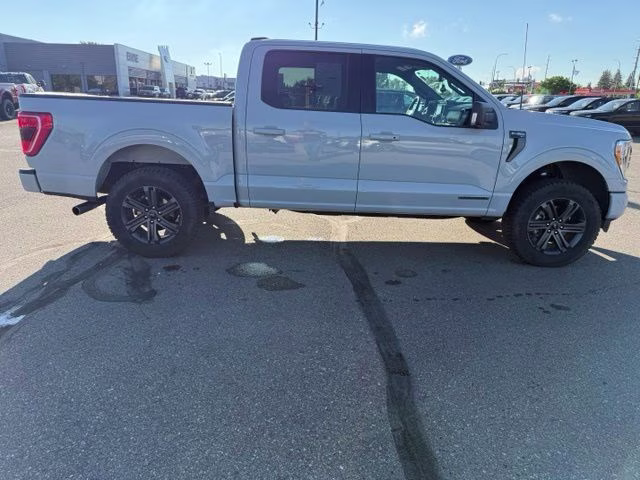 2023 Avalanche Gray Ford F-150 XLT 4X4 Truck