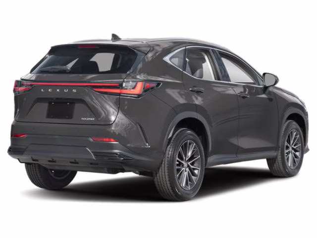 2025 Gray Lexus NX 250 Premium FWD SUV