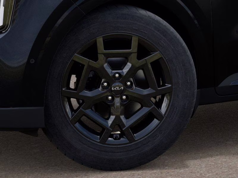 2026 Panthera Metal Kia Carnival SX Prestige FWD Van