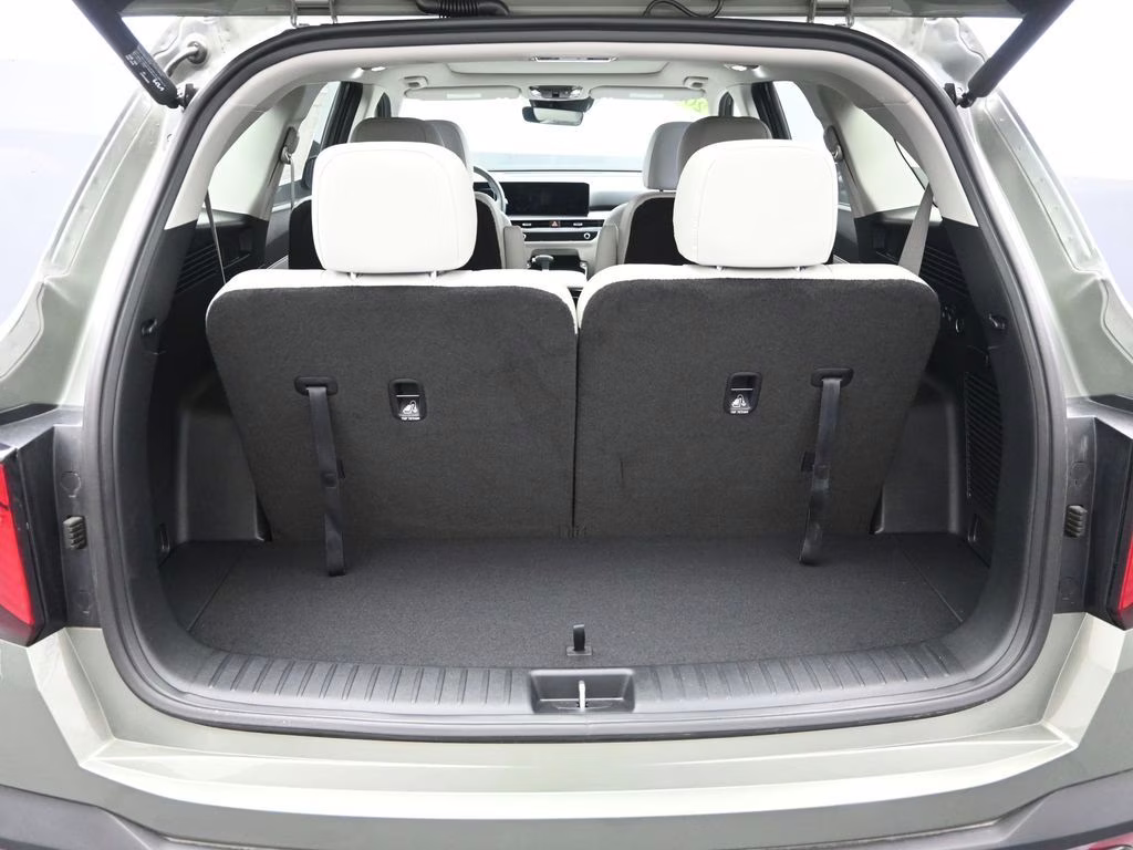 2025 Jungle Green Kia Sorento X-Line SX AWD SUV