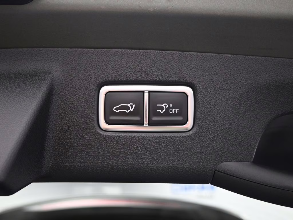 2025 Jungle Green Kia Sorento X-Line SX AWD SUV