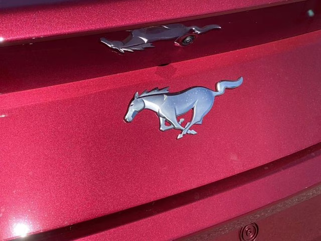 2026 Molten Magenta Metallic Tinted Clearcoat Ford Mustang EcoBoost Premium RWD Coupe